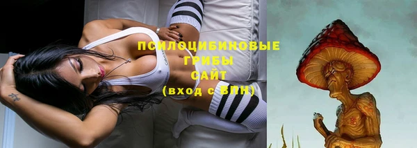 спиды Абдулино