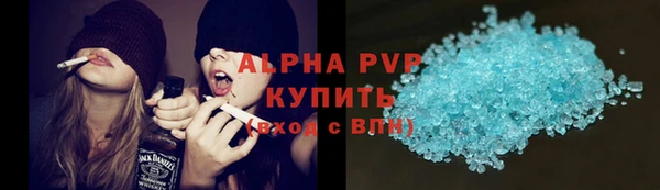 индика Абаза