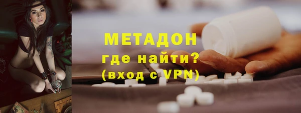 индика Абаза