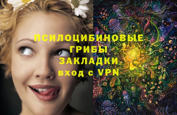 индика Абаза